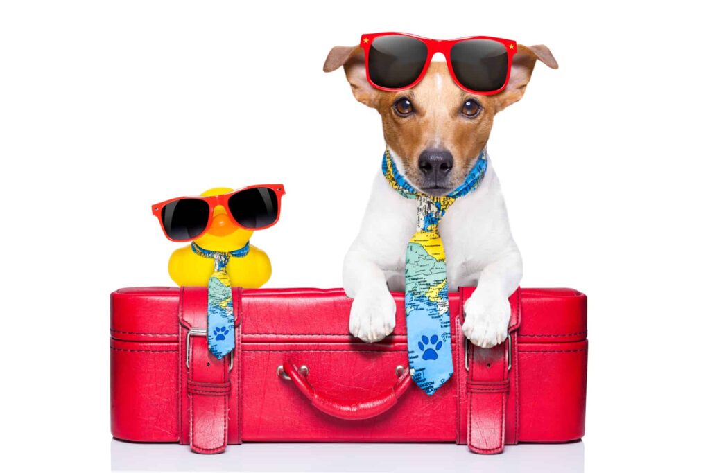 Hundehotel Guide